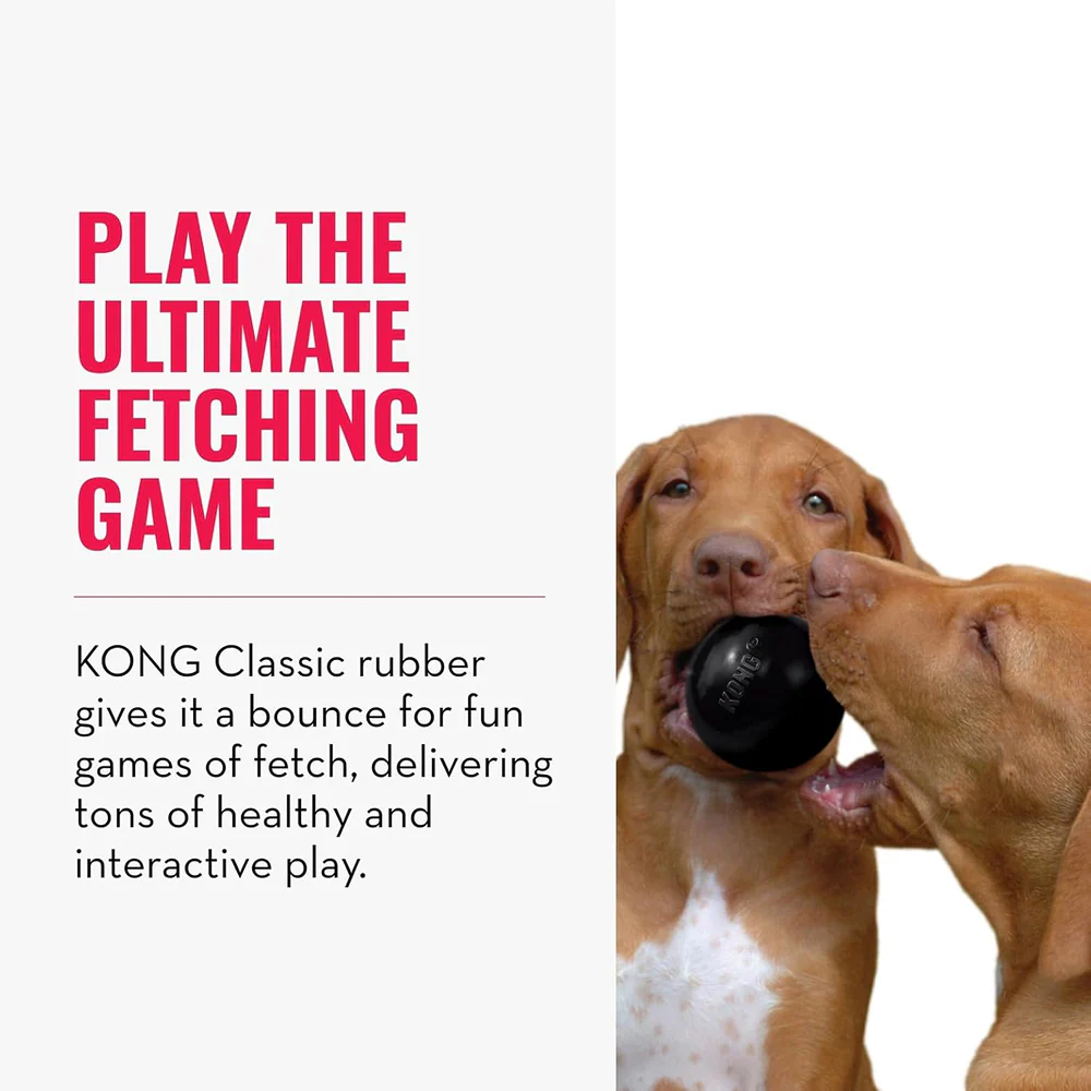 Kong Extreme Ball Toy for Dogs (Black) - Image 3