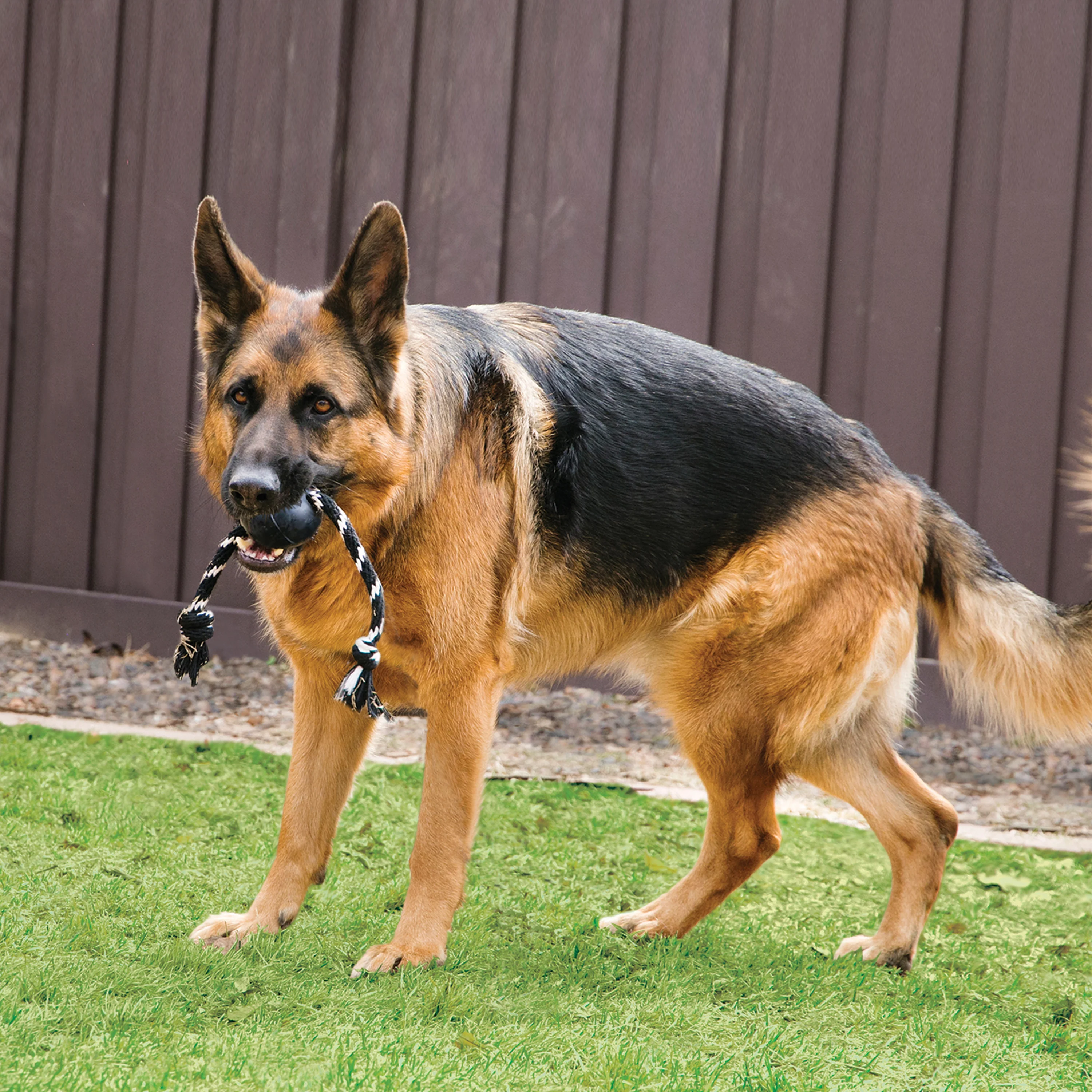 Kong Extreme Ball with Rope Toy for Dogs (Black) - Image 3