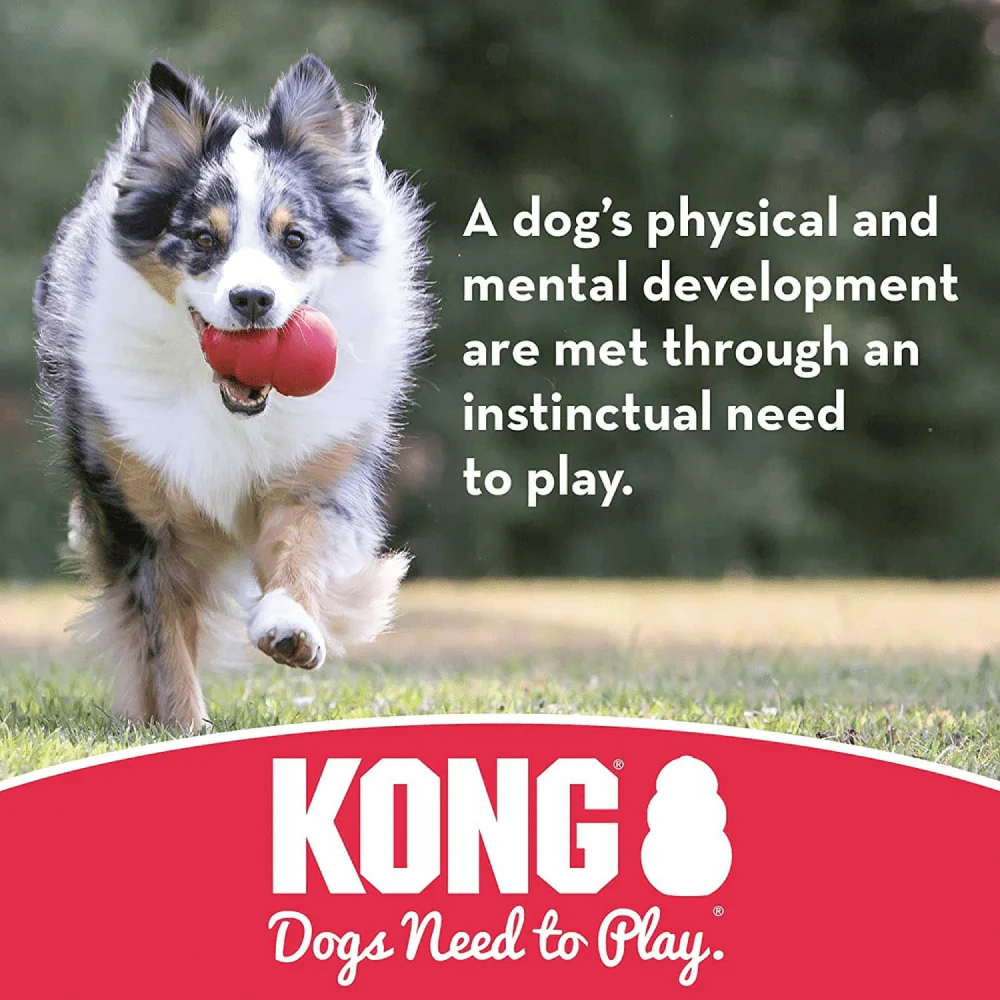 Kong Extreme Flyer Toy for Dogs - Image 6