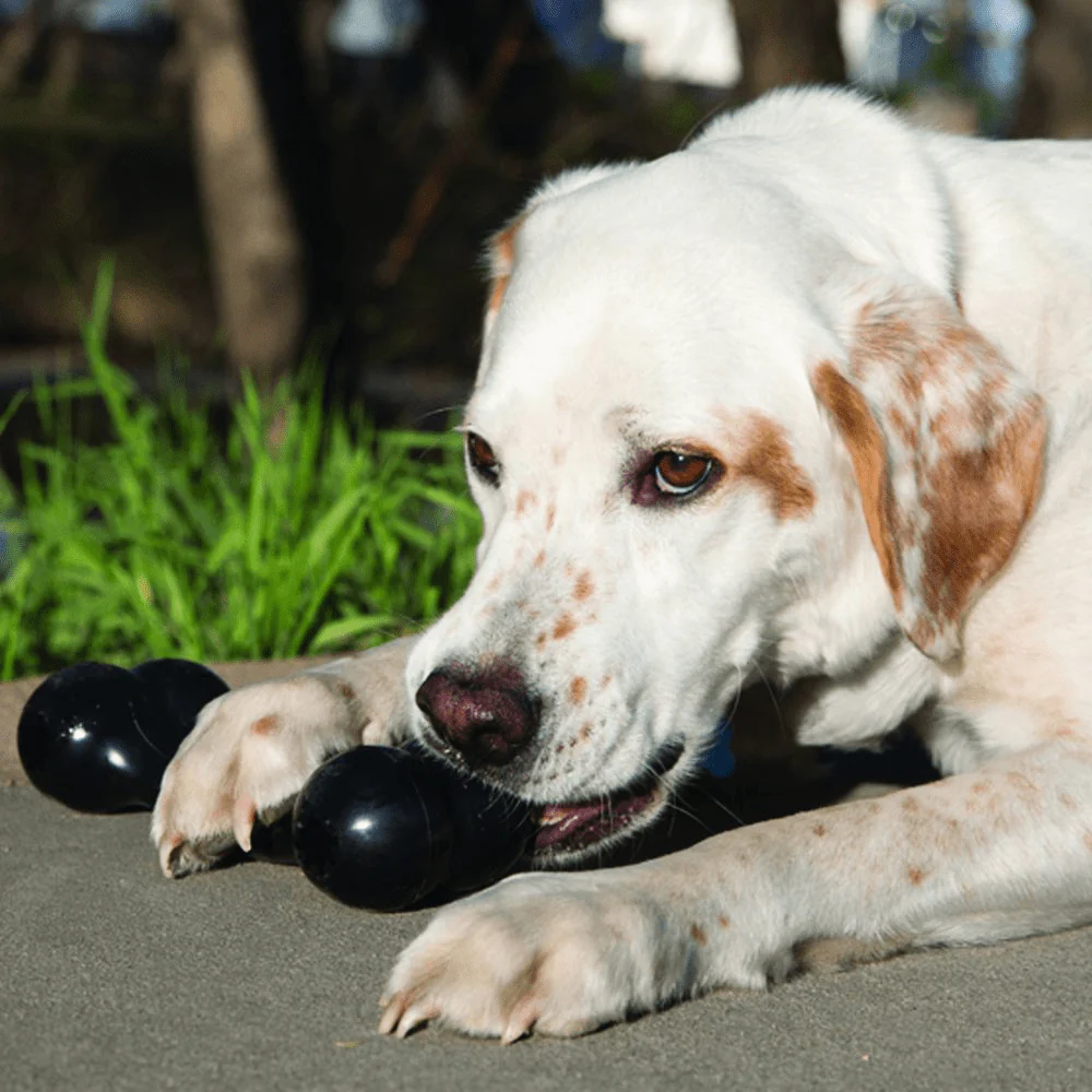 Kong Extreme Goodie Bone Toy for Dogs (Black) | For Aggressive Chewers - Image 8