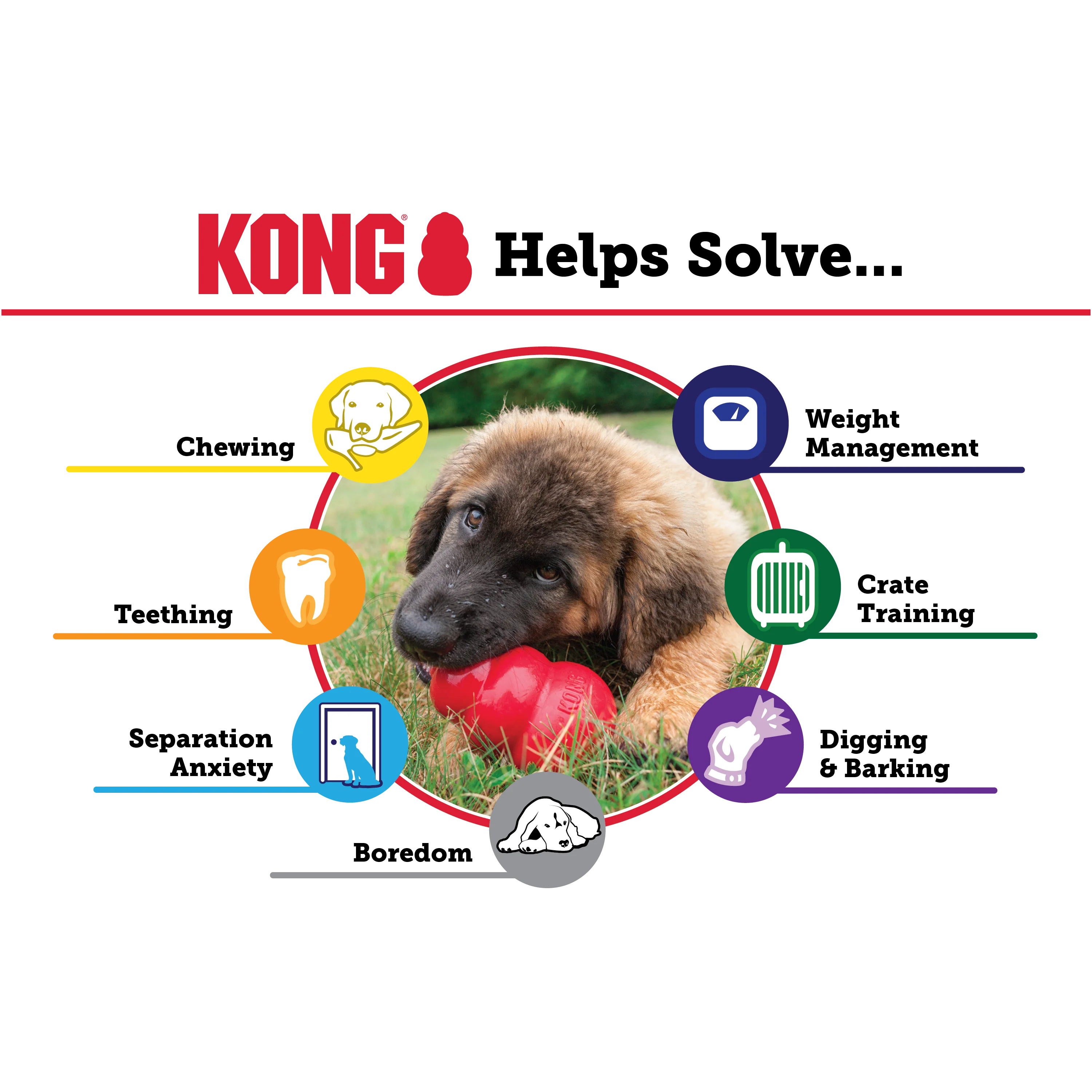 Kong Extreme Toy for Dogs (Black) - Image 4