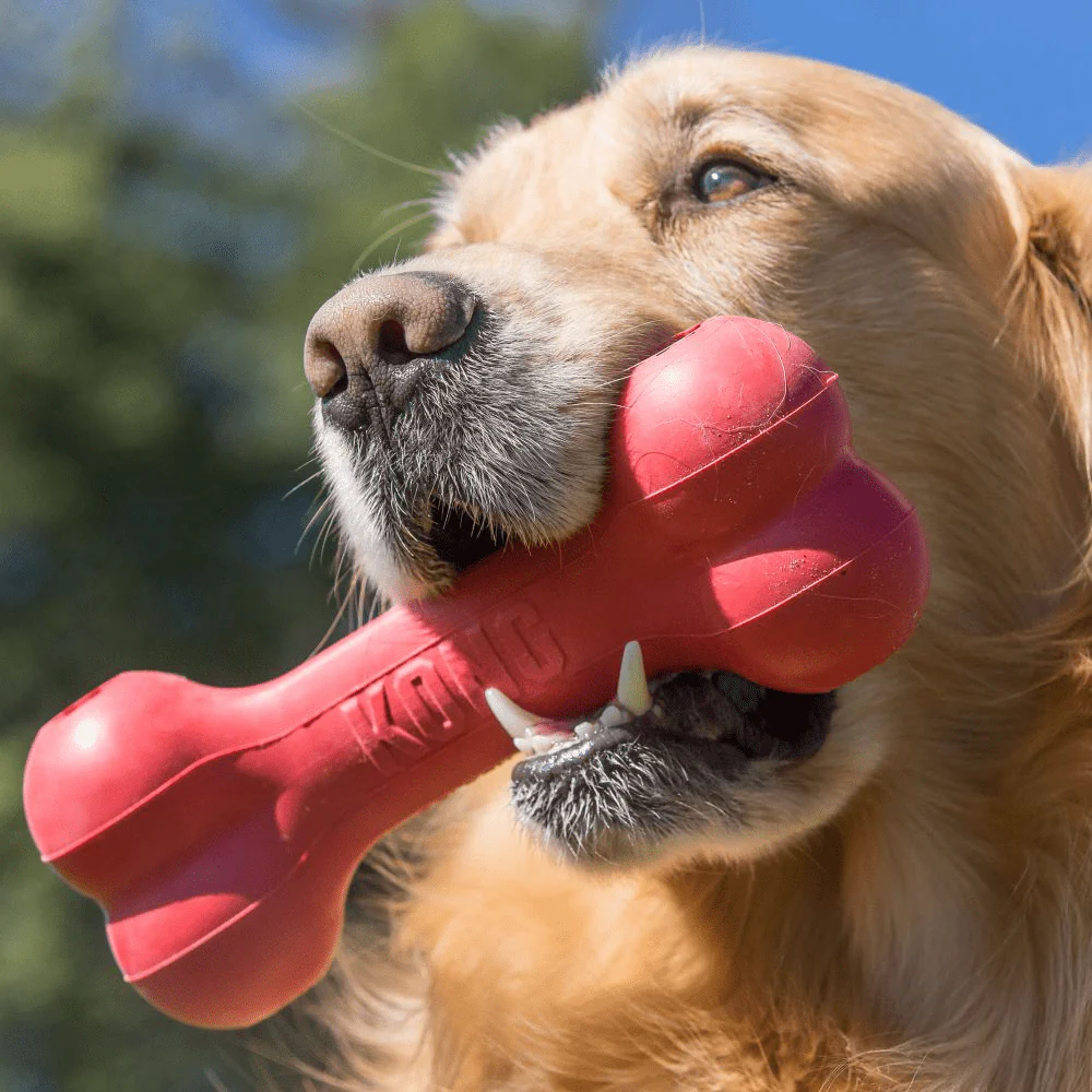 Kong Goodie Bone Toy for Dogs | For Aggressive Chewers - Image 6