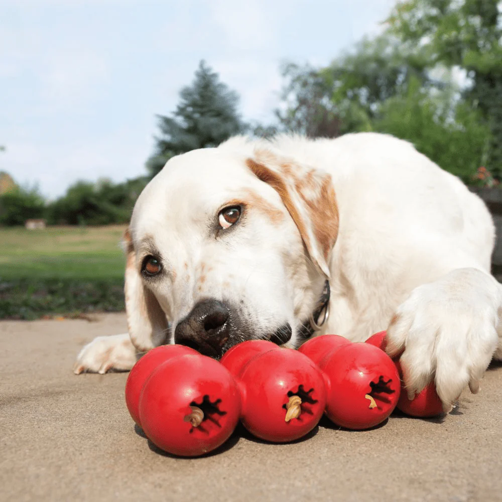 Kong Goodie Ribbon Toy for Dogs - Image 7