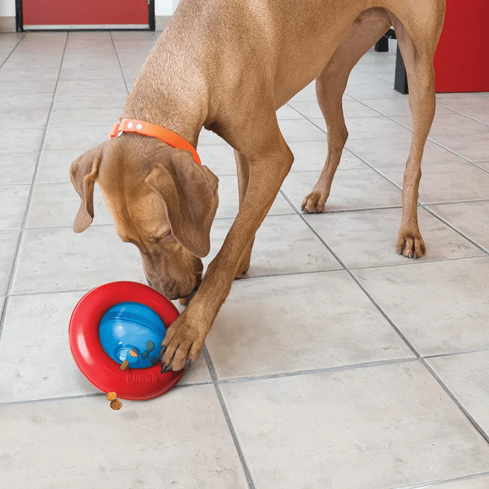 Kong Gyro Treat Dispensing Toy for Dogs - Image 5