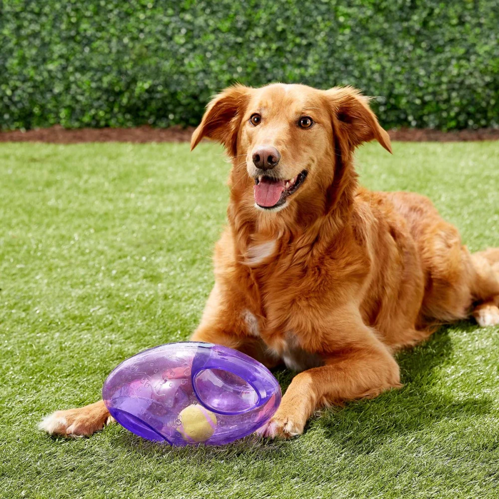Kong Jumbler Football Toy for Dogs (Orange) - Image 3