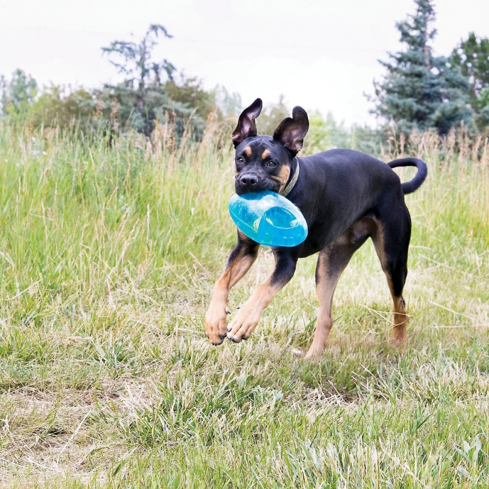 Kong Jumbler Football Toy for Dogs (Orange) - Image 5