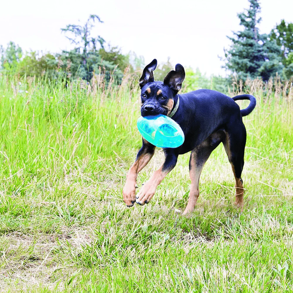 Kong Jumbler Football Toy for Dogs (Purple) - Image 4