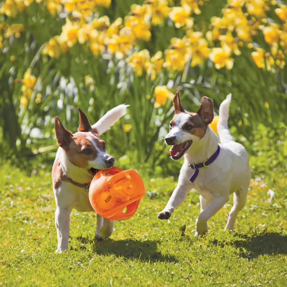 Kong Jumbler Interactive Squeaky Toy for Dogs (Orange) - Image 2