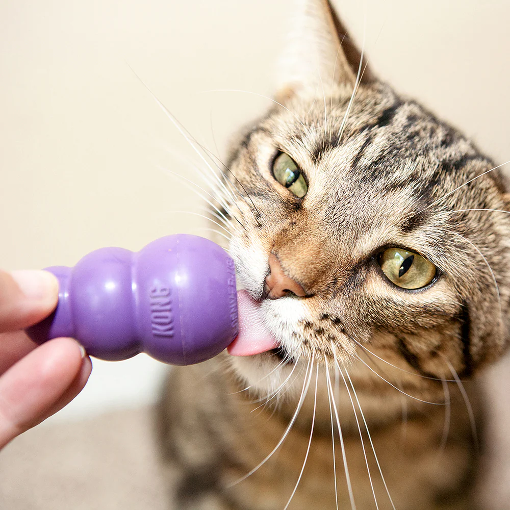 Kong Kitty Kong Toy for Cats (Purple) - Image 4