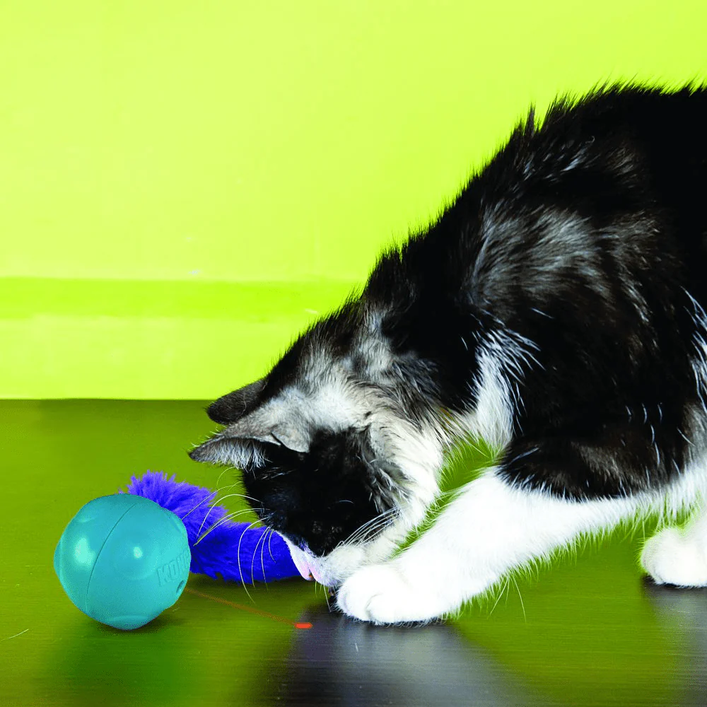 Kong Laser Craze Catnip Toys for Cats - Image 3