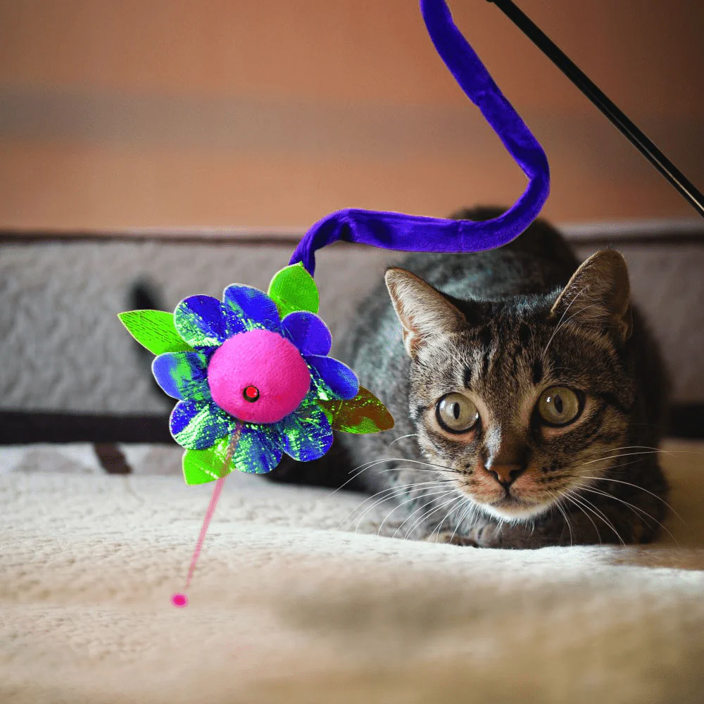 Kong Laser Teaser Characters Toy for Cats - Image 4
