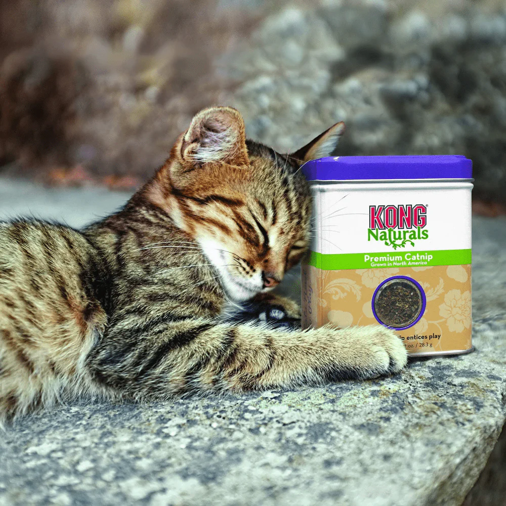 Kong Naturals Catnip for Cats - Image 3