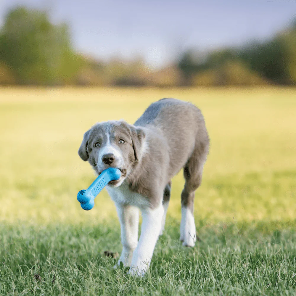 Kong Puppy Goodie Bone Toy for Dogs - Image 6