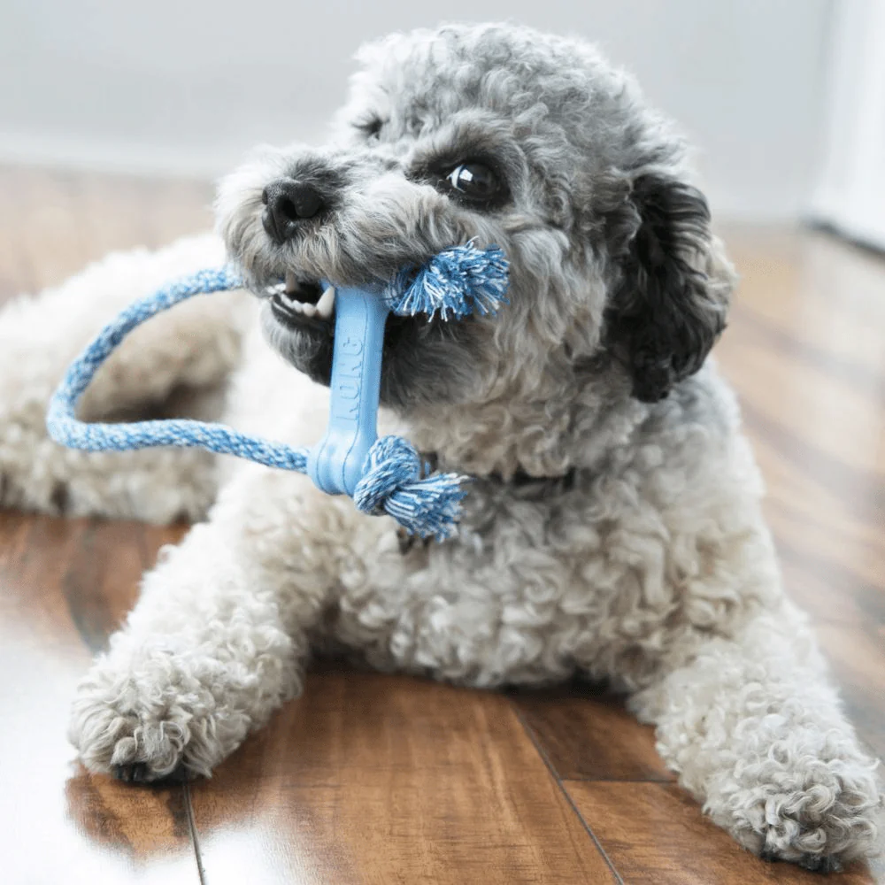 Kong Puppy Goodie Bone Toy with Rope for Dogs - Image 5