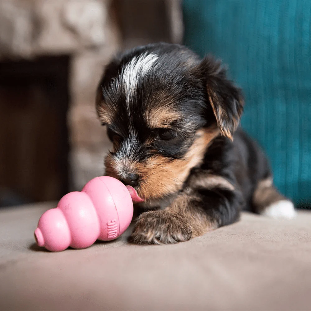 Kong Puppy Toy for Dogs (Pink) | For Aggressive Chewers - Image 5