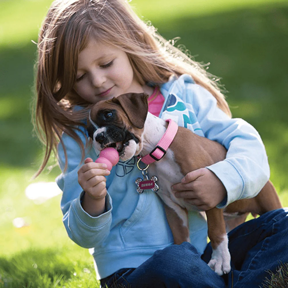Kong Puppy Toy for Dogs (Pink) | For Aggressive Chewers - Image 7