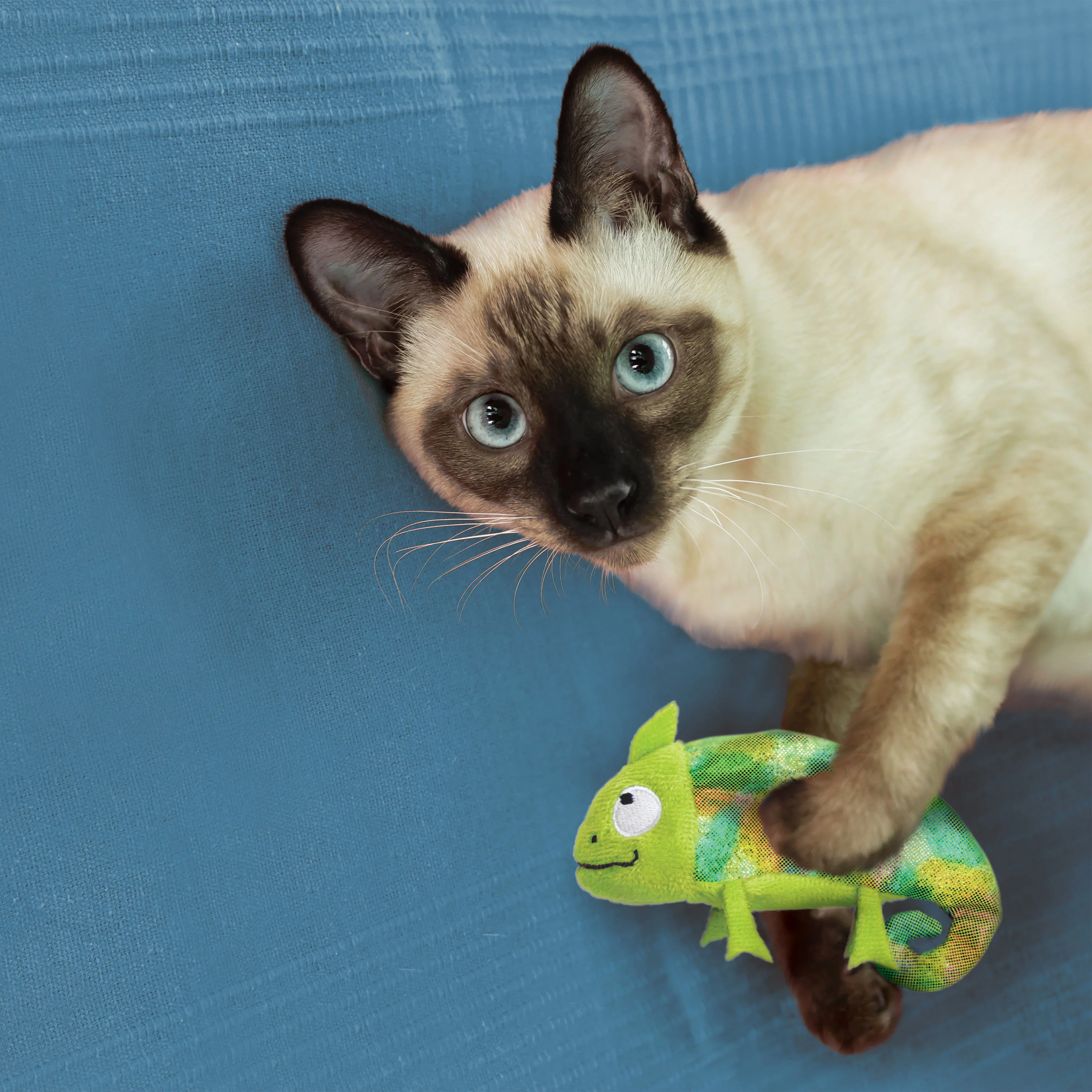 Kong Refillables Chameleon Toy for Cats (Green) - Image 3