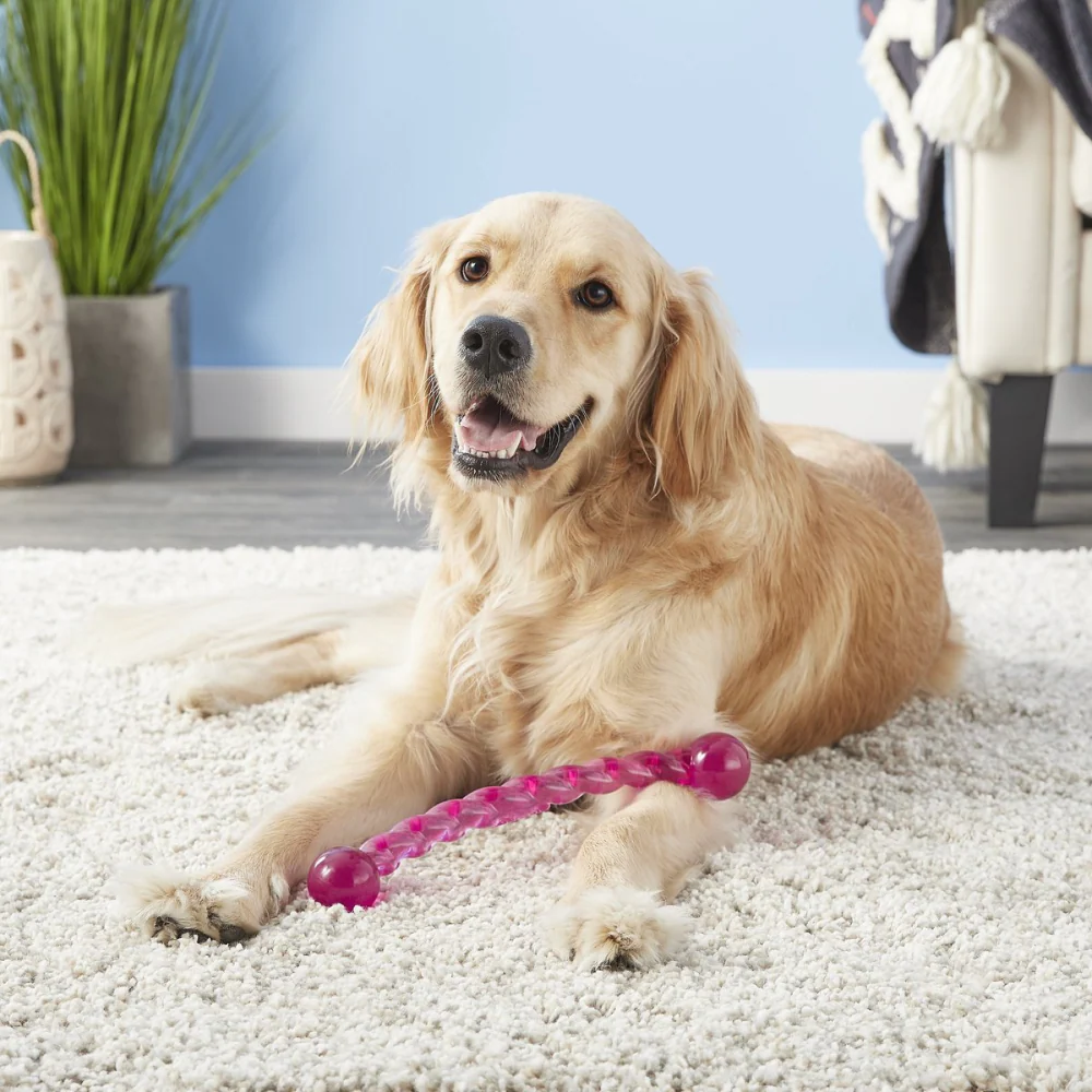 Kong Safestix Rope Toy for Dogs (Blue) | For Aggressive Chewers - Image 5