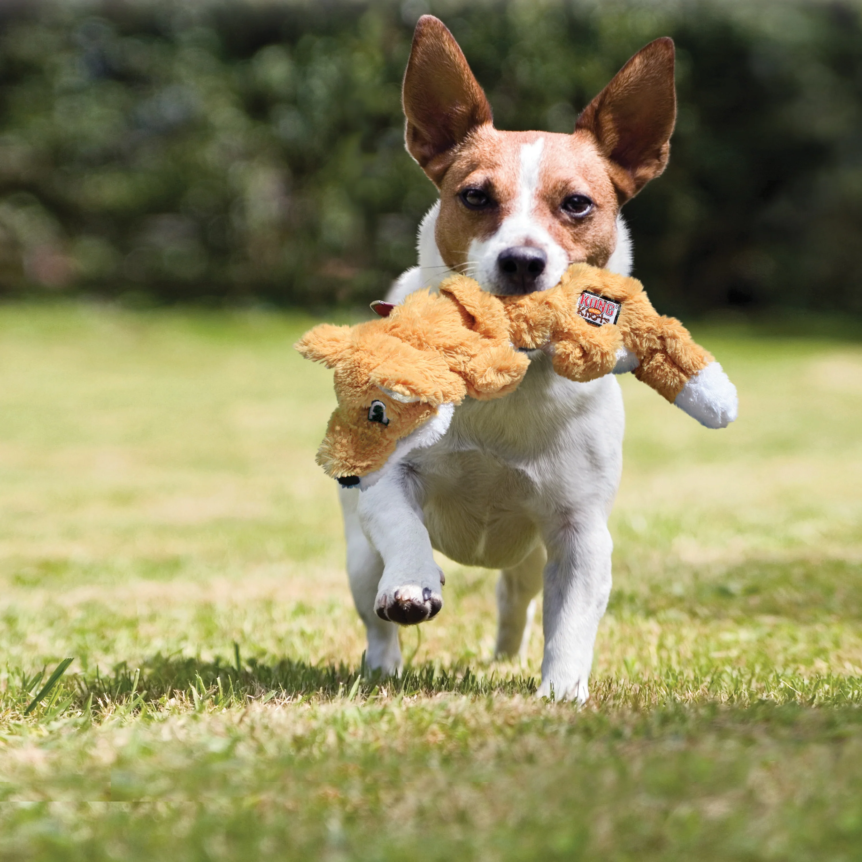 Kong Scrunch Knots Squirrel Toy for Dogs (Brown) - Image 3