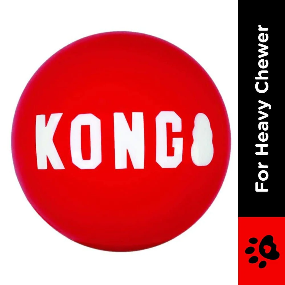 Kong Signature Ball Toy for Dogs - Image 2