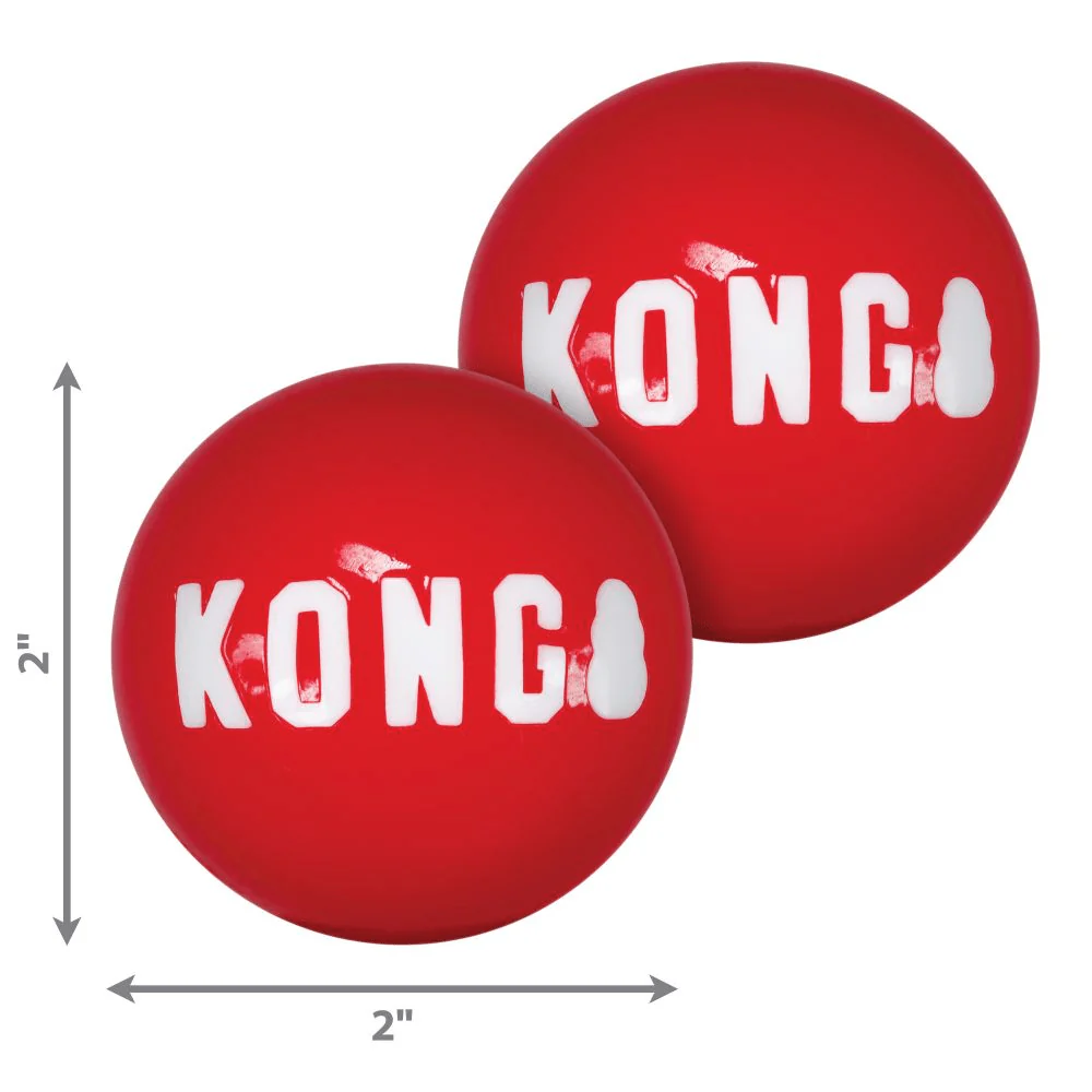 Kong Signature Ball Toy for Dogs - Image 3