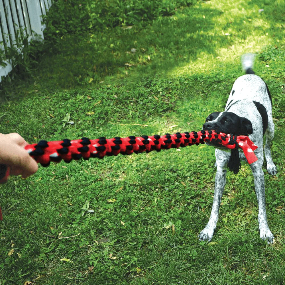 Kong Signature Rope Double Ring Tug Toy for Dogs (Red/Black) - Image 5