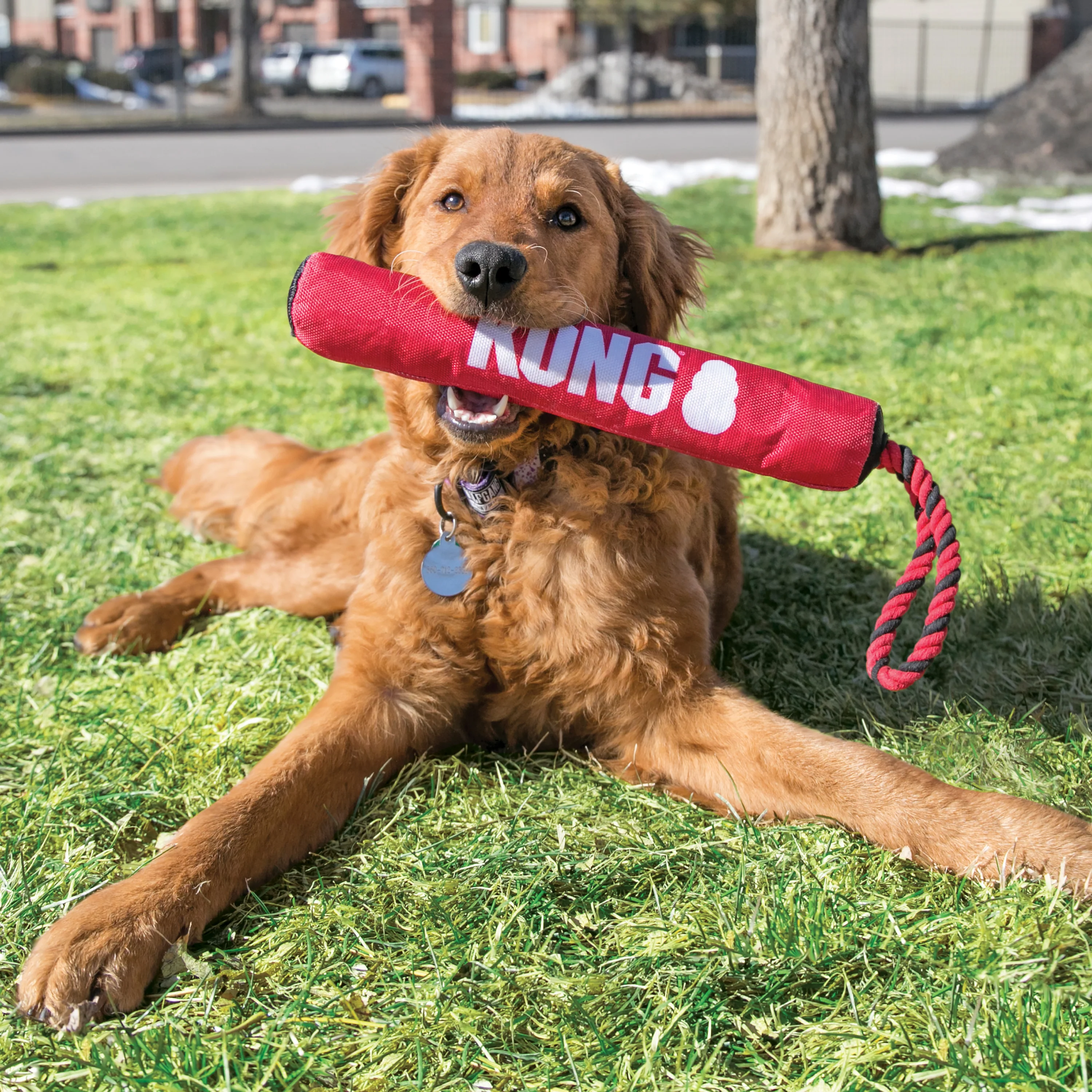 Kong Signature Stick with Rope Toy for Dogs - Image 3