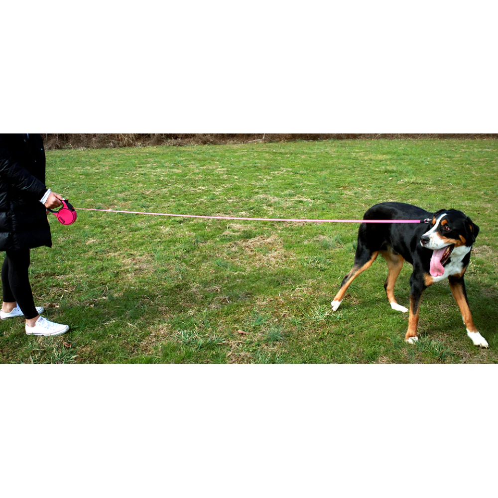 Kong Terrain Retractable Leash for Dogs and Cats (Fuchsia) - Image 10