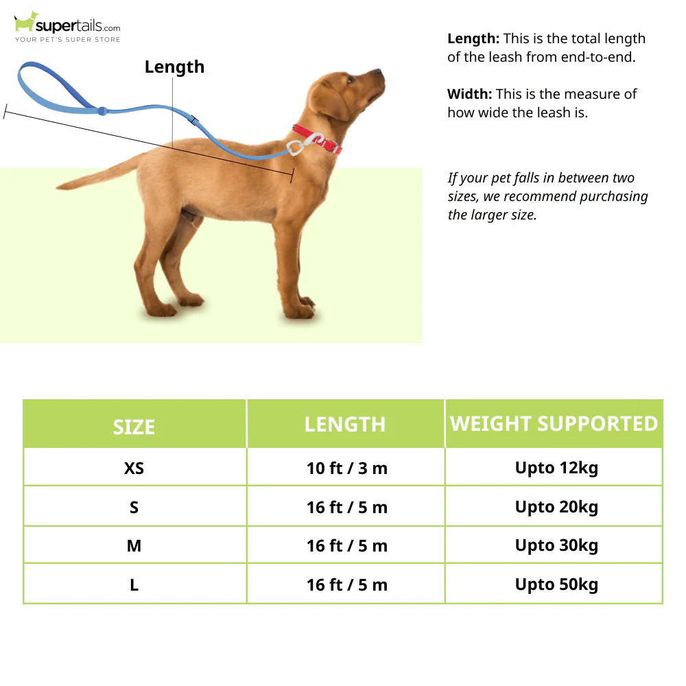 Kong Terrain Retractable Leash for Dogs and Cats (Blue) - Image 2