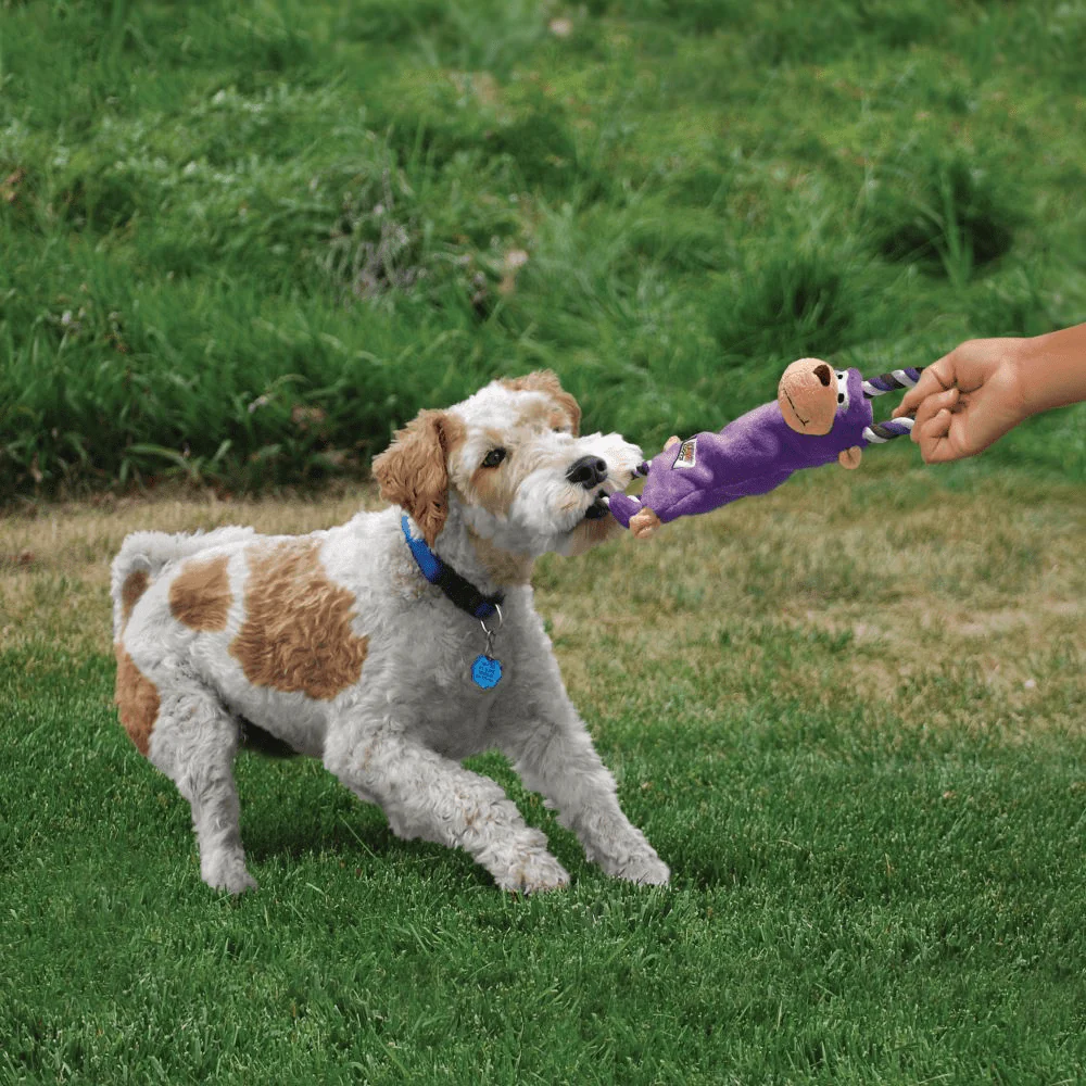 Kong Tugger Knots Moose Toy for Dogs - Image 4