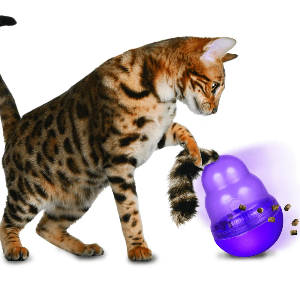 Kong Wobbler Toy for Cats - Image 4