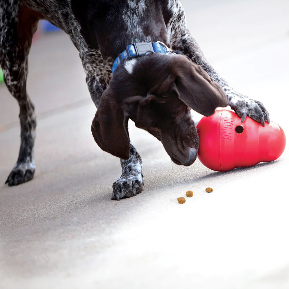 Kong Wobbler Toy for Dogs (Red) | For Aggressive Chewers - Image 5