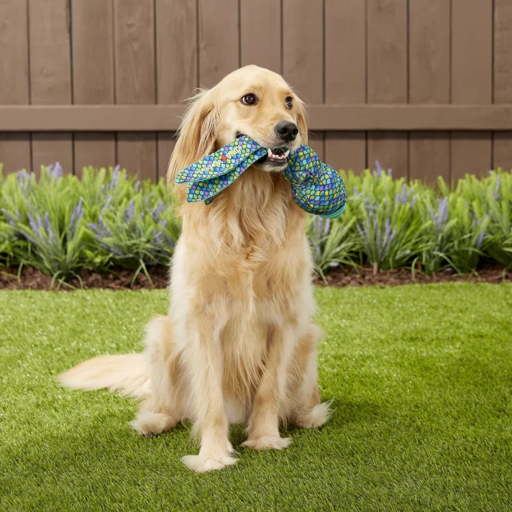 Kong Wubba Finz Toy for Dogs (Blue) | For Medium Chewers - Image 5