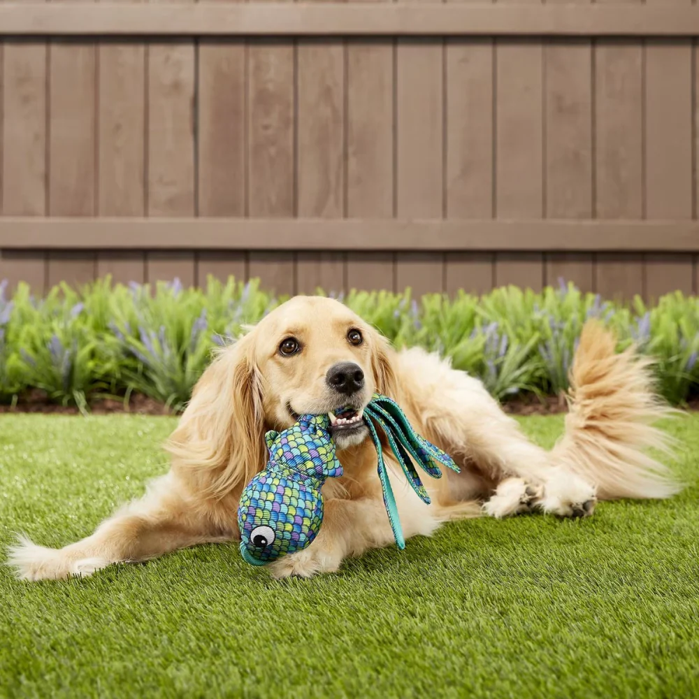 Kong Wubba Finz Toy for Dogs (Blue) | For Medium Chewers - Image 6
