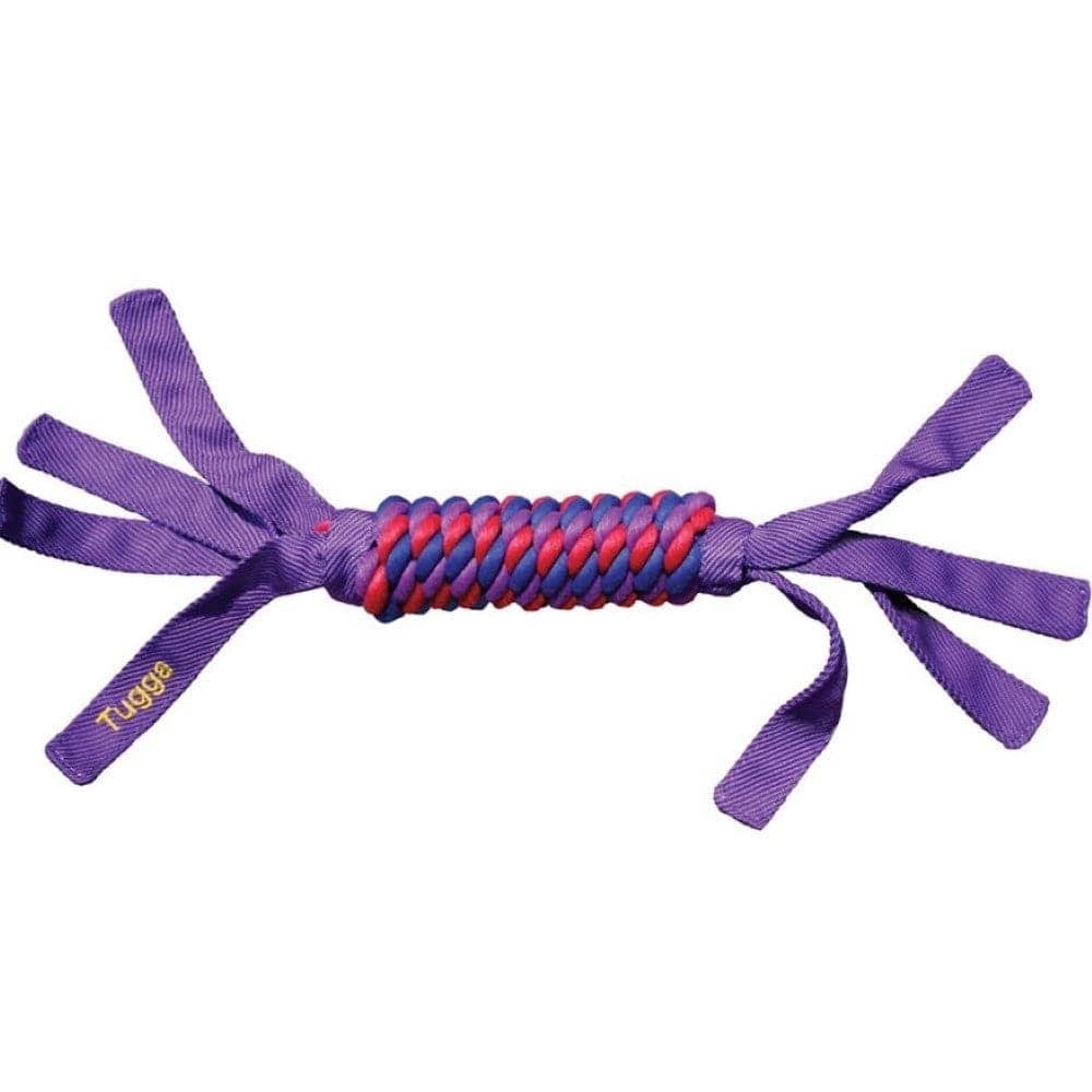 Kong Wubba Tugga Toy for Dogs (Blue) - Image 2
