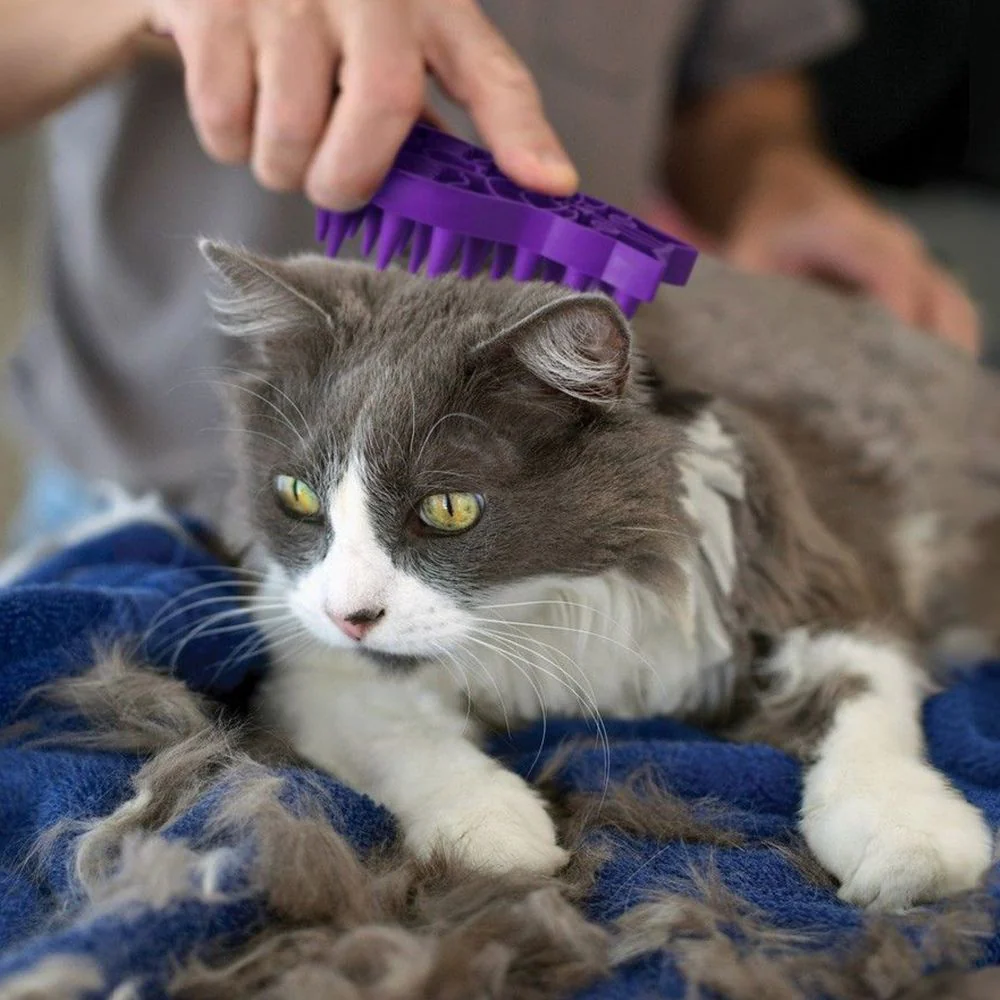 Kong Zoom Groom Brush for Cats - Image 5