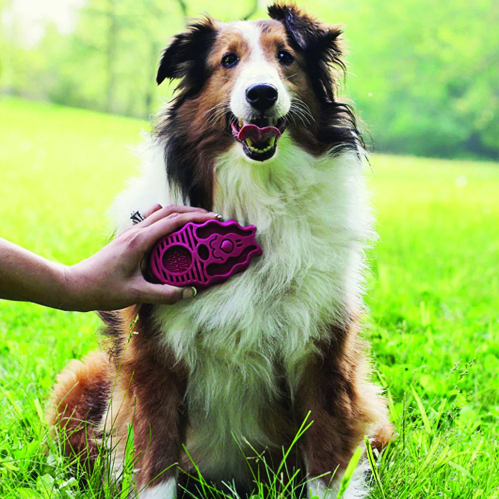Kong Zoom Groom Raspberry Brush for Dogs - Image 4