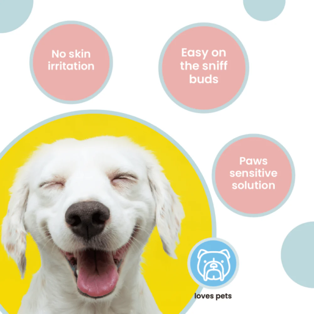 Koparo Clean Natural Citrus Orange Fragrance Kennel Wash (Pet Safe) - Image 2