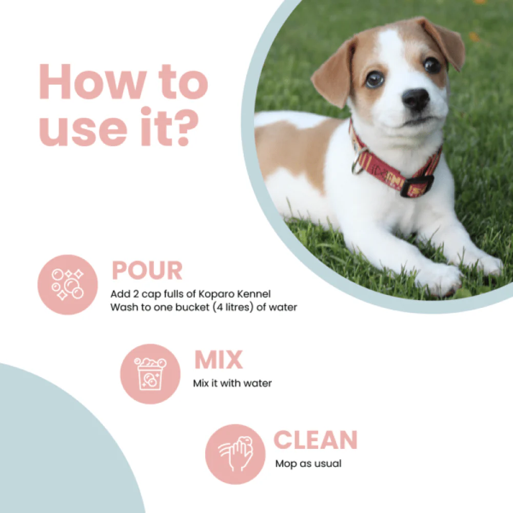 Koparo Clean Natural Citrus Orange Fragrance Kennel Wash (Pet Safe) - Image 3