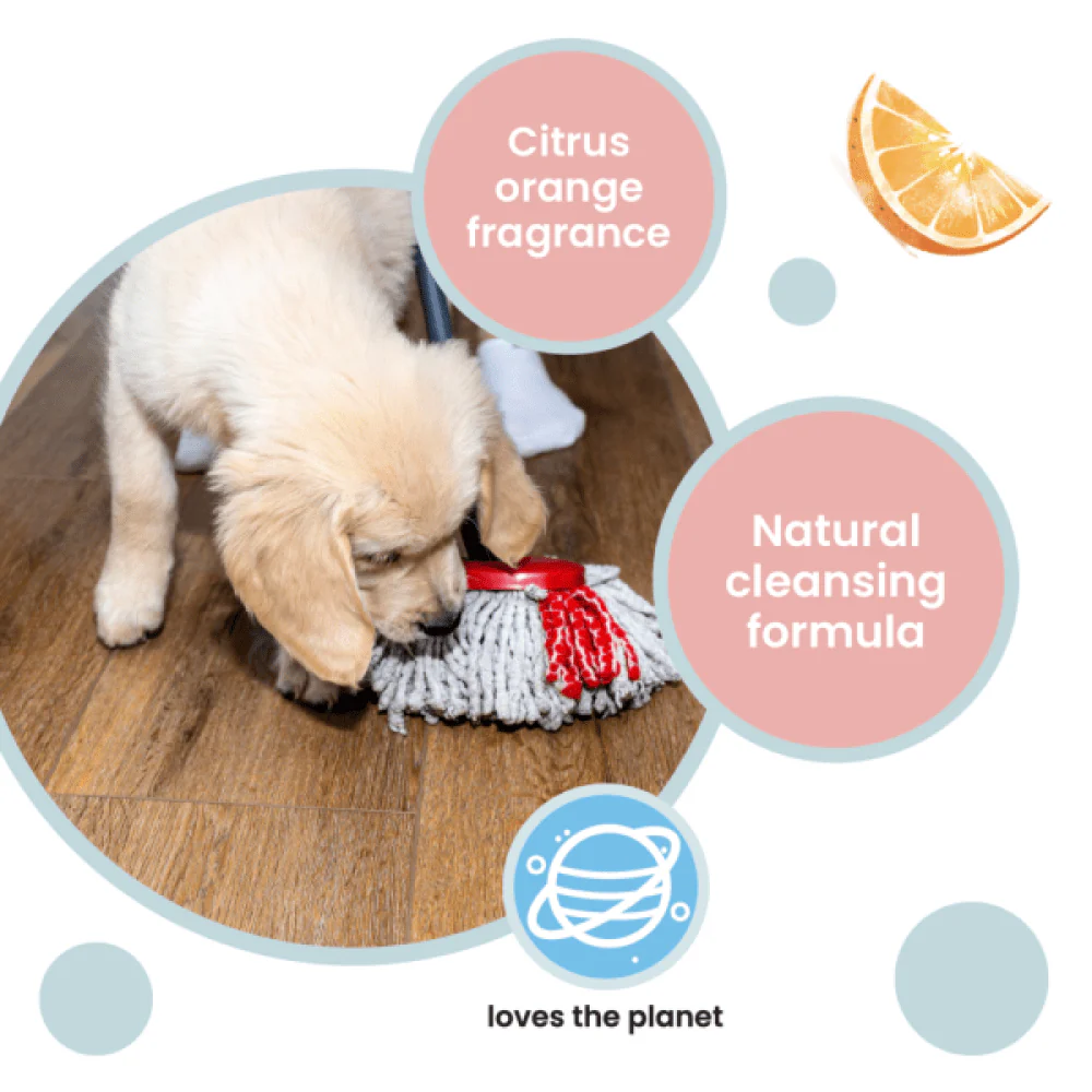 Koparo Clean Natural Citrus Orange Fragrance Kennel Wash (Pet Safe) - Image 4