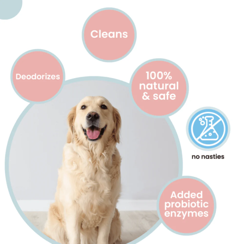 Koparo Clean Natural Citrus Orange Fragrance Kennel Wash (Pet Safe) - Image 5