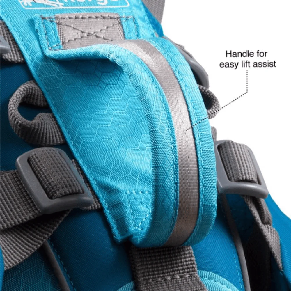 Kurgo Baxter Travel Backpack for Dogs (Coastal Blue) - Image 5