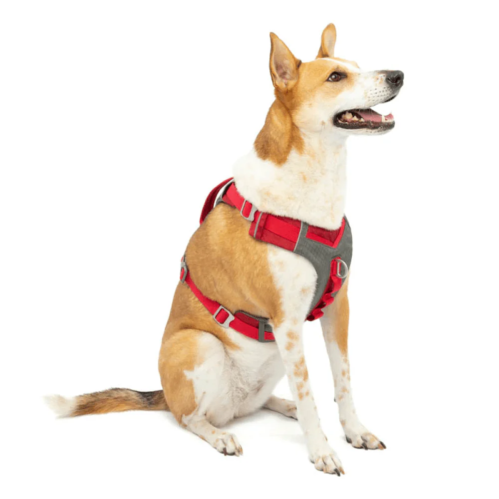 Kurgo Journey Air Harness for Dogs (Barn Red) - Image 8