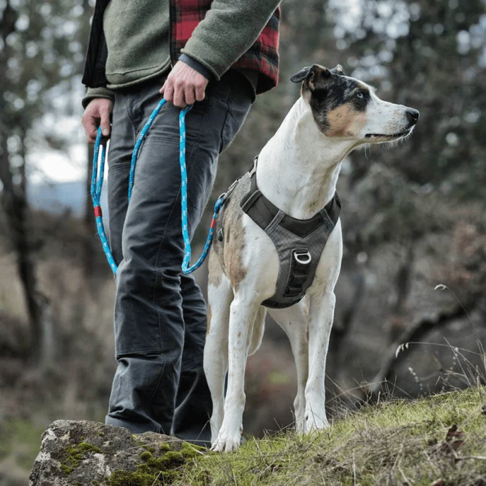 Kurgo Journey Air Harness for Dogs (Black/Gargoyle Grey) - Image 4