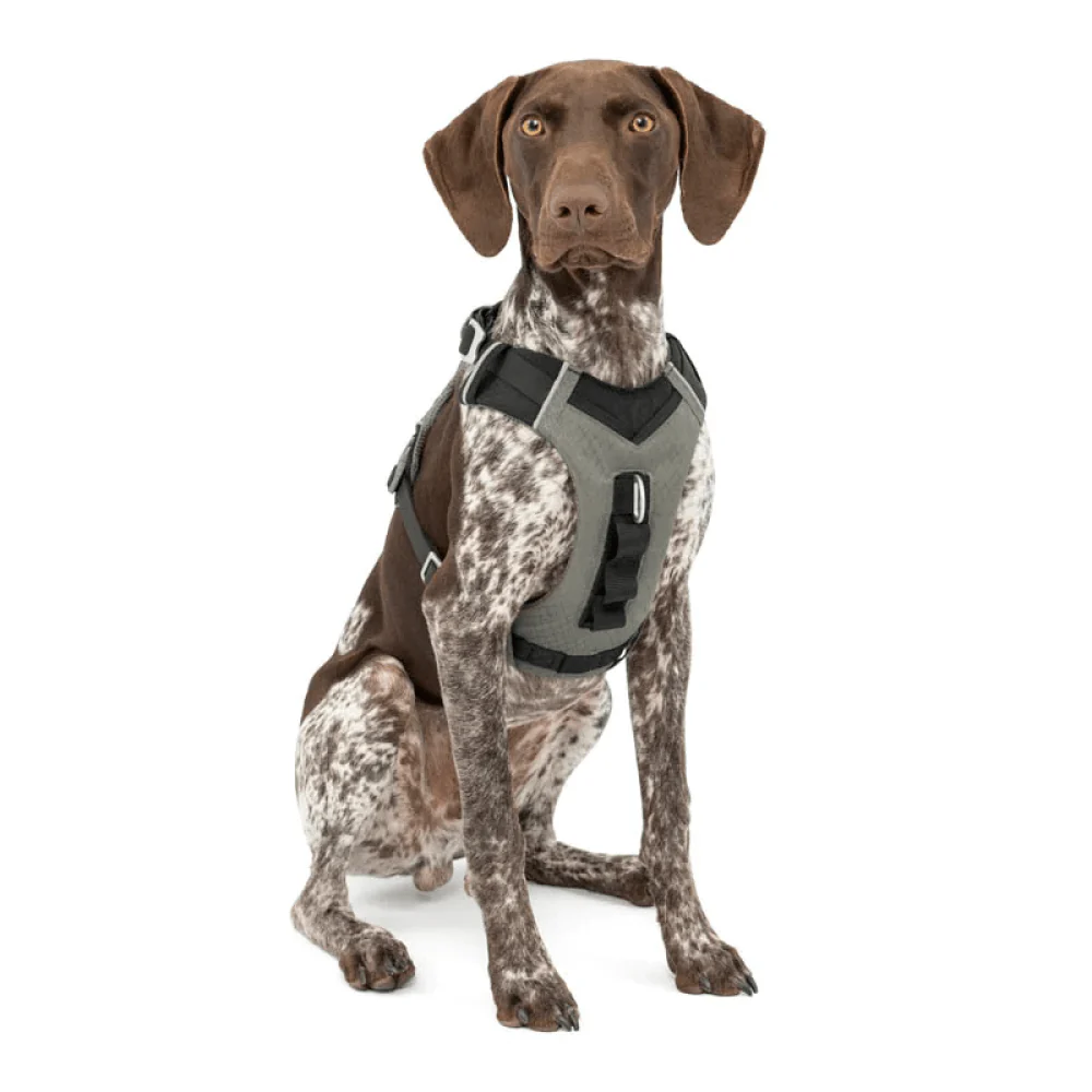Kurgo Journey Air Harness for Dogs (Black/Gargoyle Grey) - Image 5