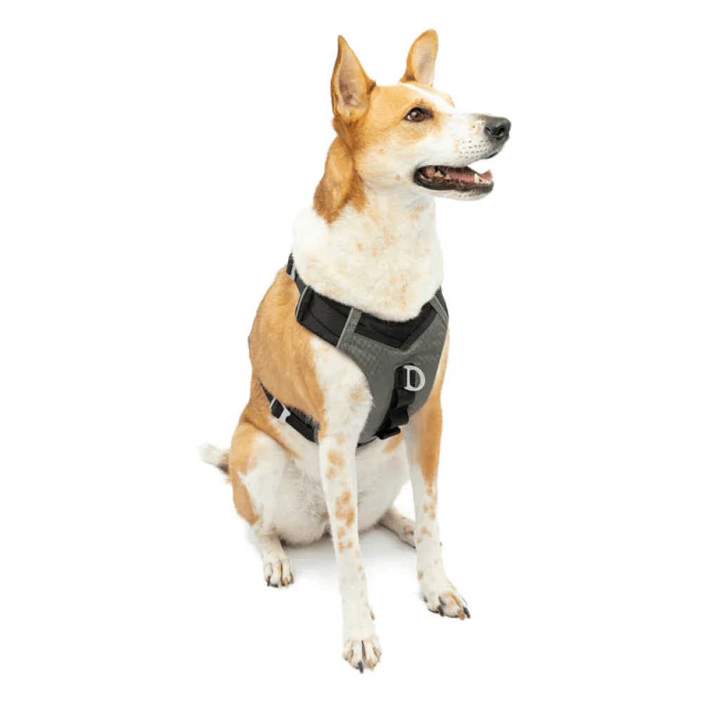 Kurgo Journey Air Harness for Dogs (Black/Gargoyle Grey) - Image 7