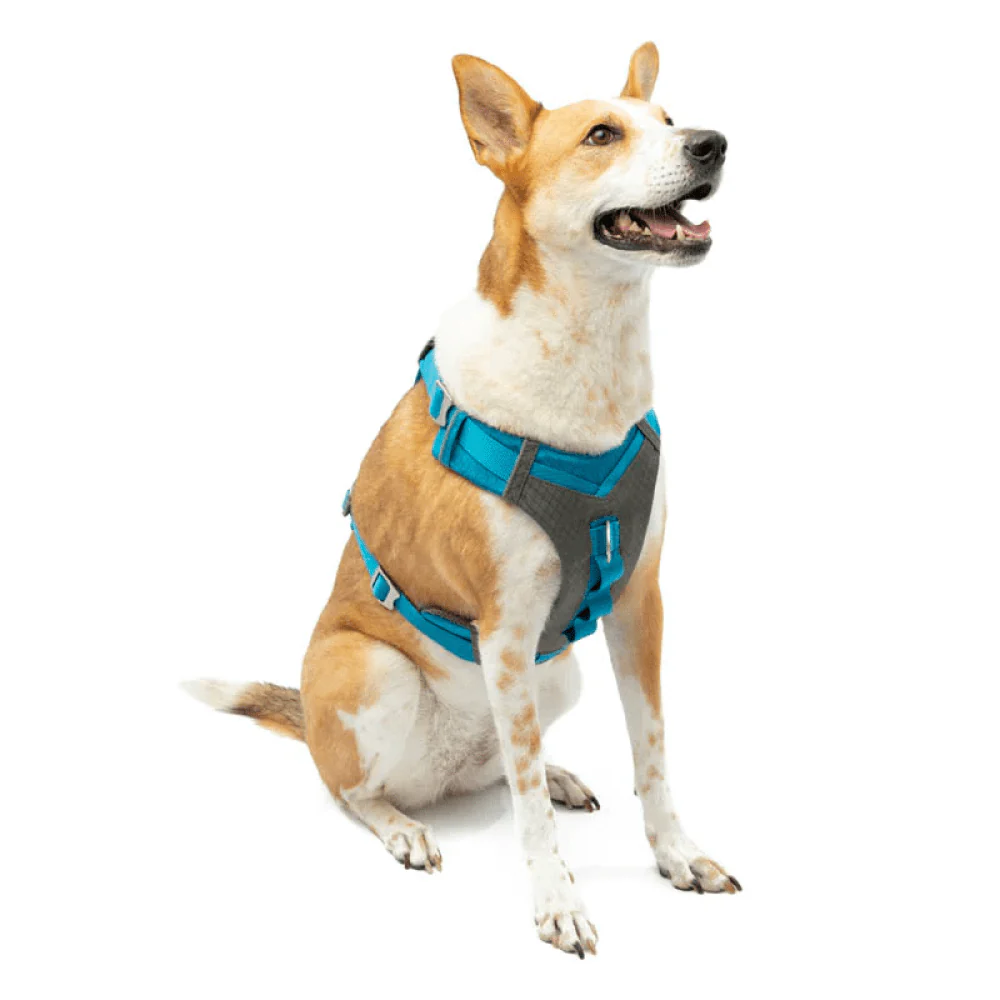 Kurgo Journey Air Harness for Dogs (Coastal Blue) - Image 11