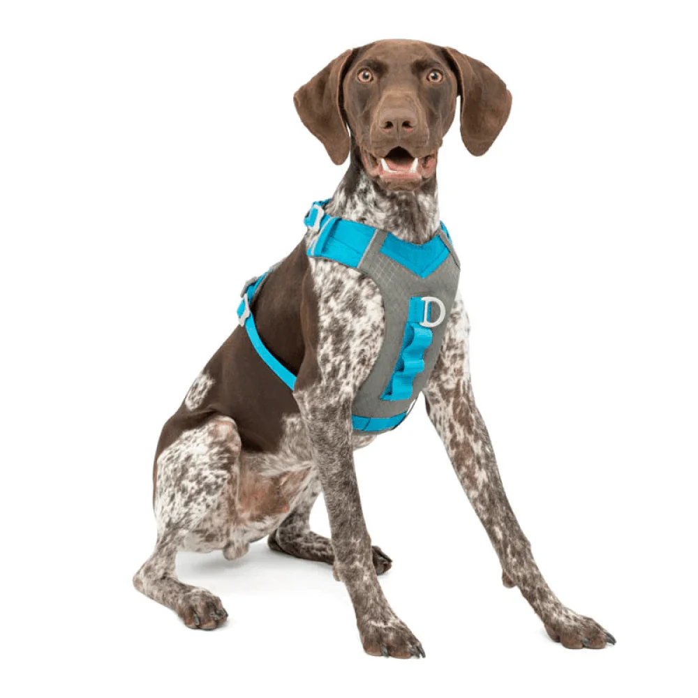 Kurgo Journey Air Harness for Dogs (Coastal Blue) - Image 13