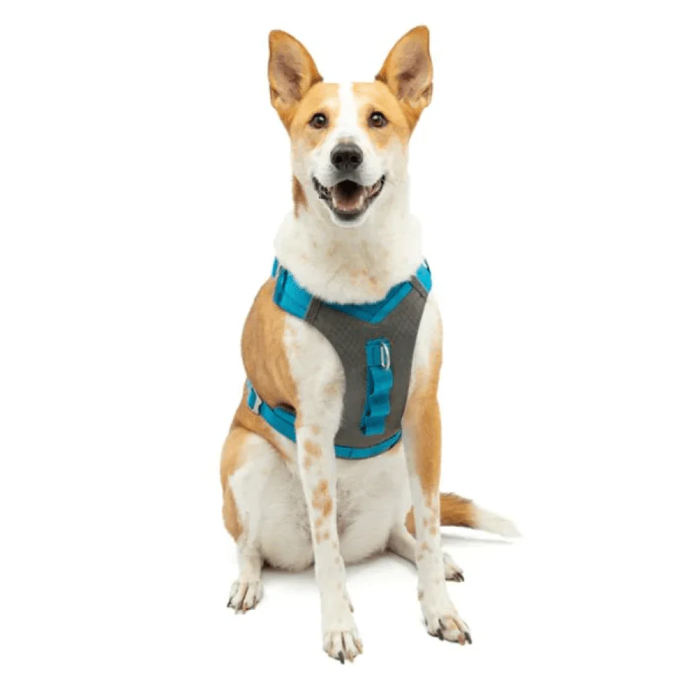 Kurgo Journey Air Harness for Dogs (Coastal Blue) - Image 14