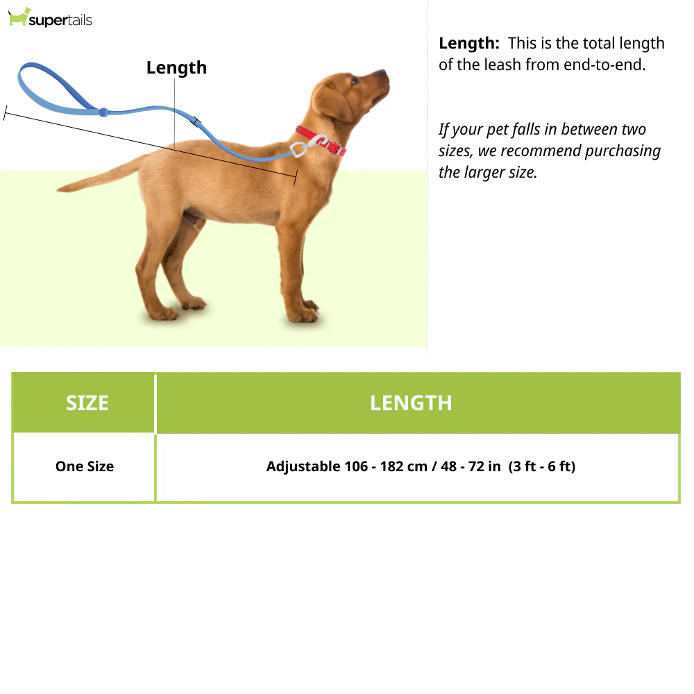 Kurgo Quantum 6 in 1 Dog Reflective Leash (Coastal Blue) - Image 2